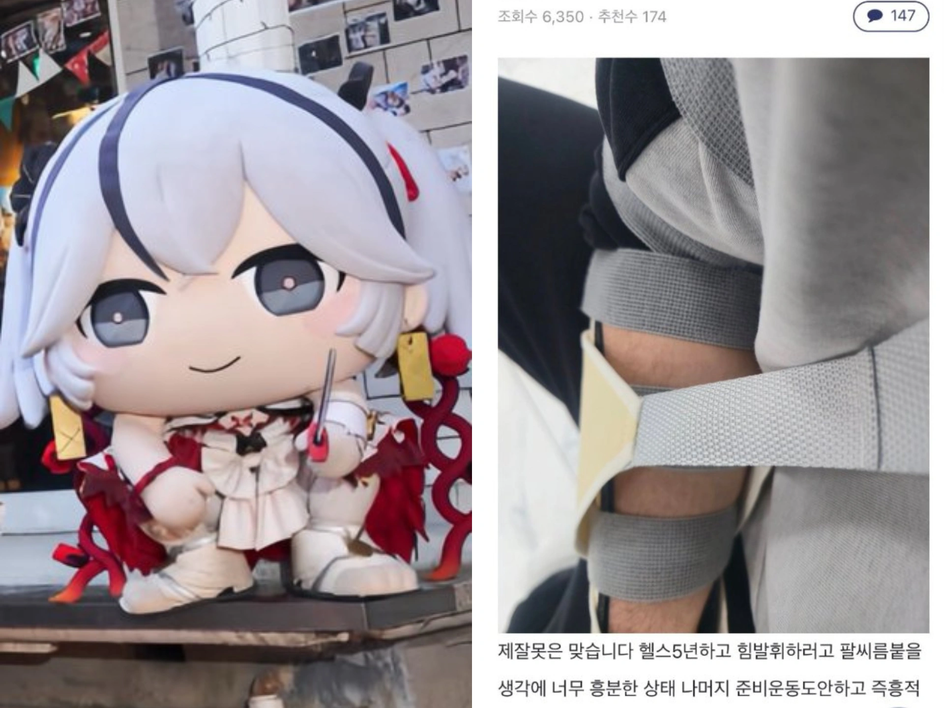 adu panco maskot wuwa