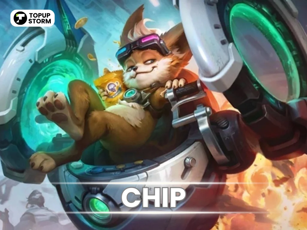 Chip